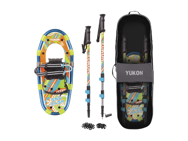 Snowshoes and snow poles