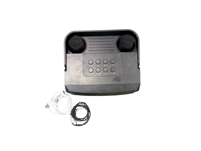 Karaoke machine with two microphones